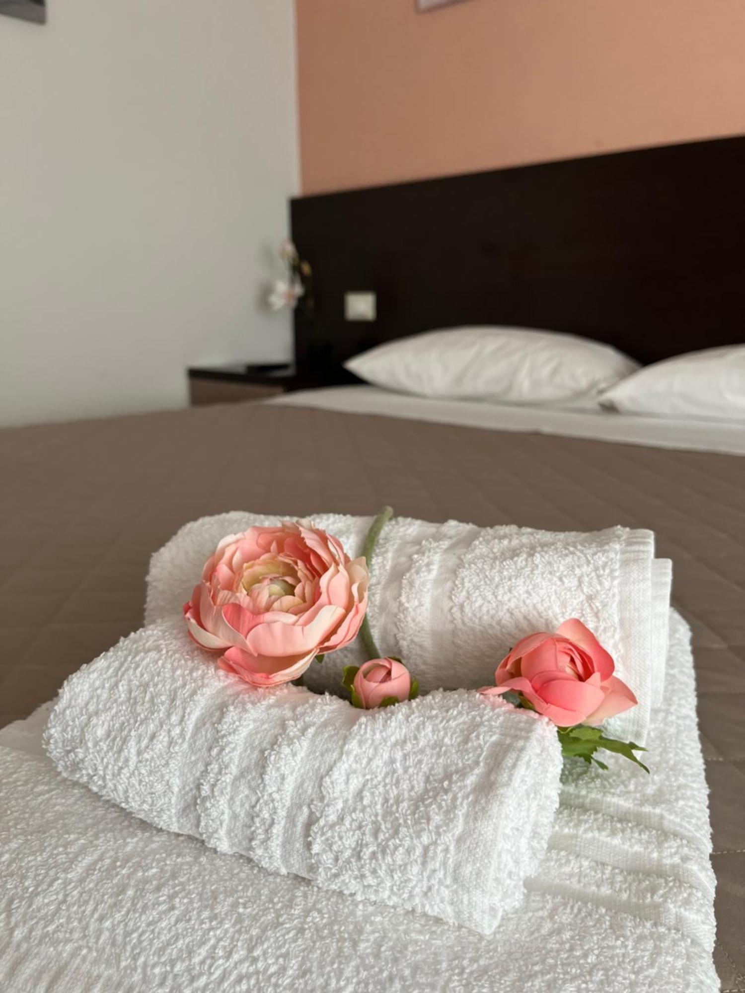 Bed & Breakfast La Rondinella Cerasolo Kültér fotó